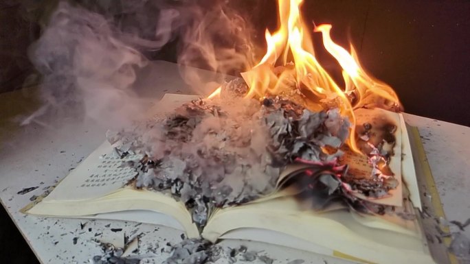 烧书烧纸燃烧销毁化为灰烬悬疑残存记忆
