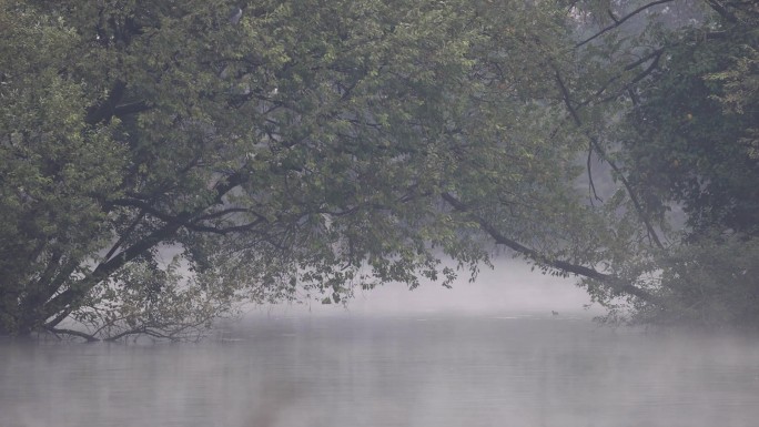 西湖湖面晨雾缭绕空镜