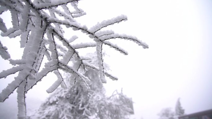 雪景