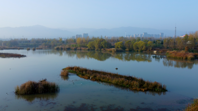渭河生态环境绿水青山