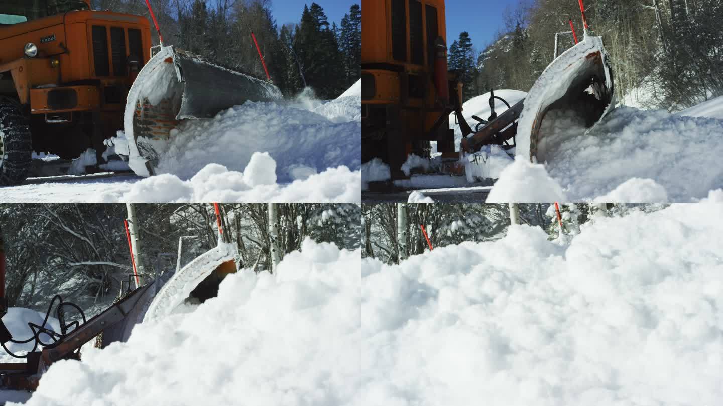 冬日阳光明媚的一天，一辆橙色拖拉机在山间森林旁的雪堆后面犁出了厚厚的雪