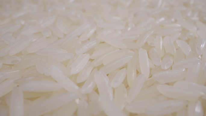 茉莉米娃娃镜头稻米小米大米粮食安全