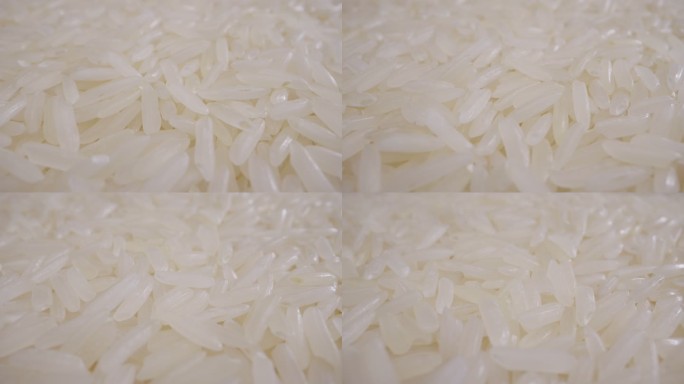 茉莉米娃娃镜头稻米小米大米粮食安全