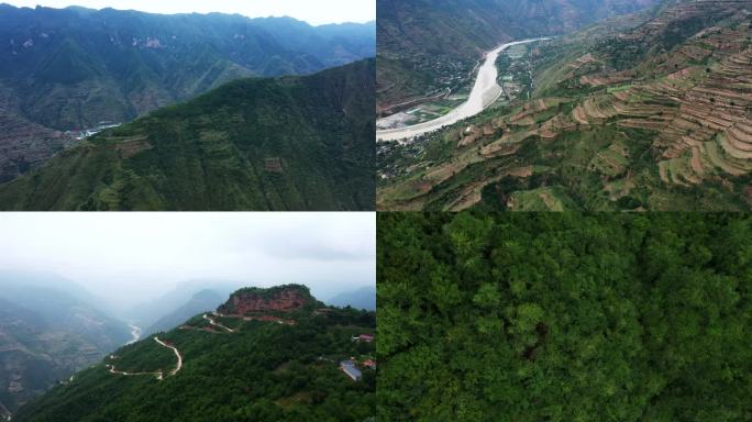 旅行原始森林意境空气