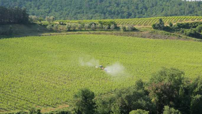 托斯卡纳干燥夏季的拖拉机浇灌葡萄园