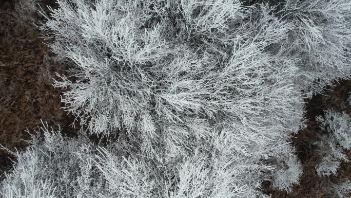 仙女山