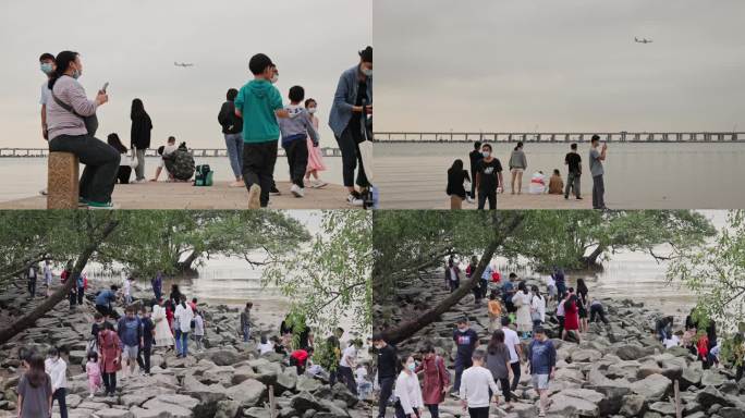 深圳宝安西湾红树林