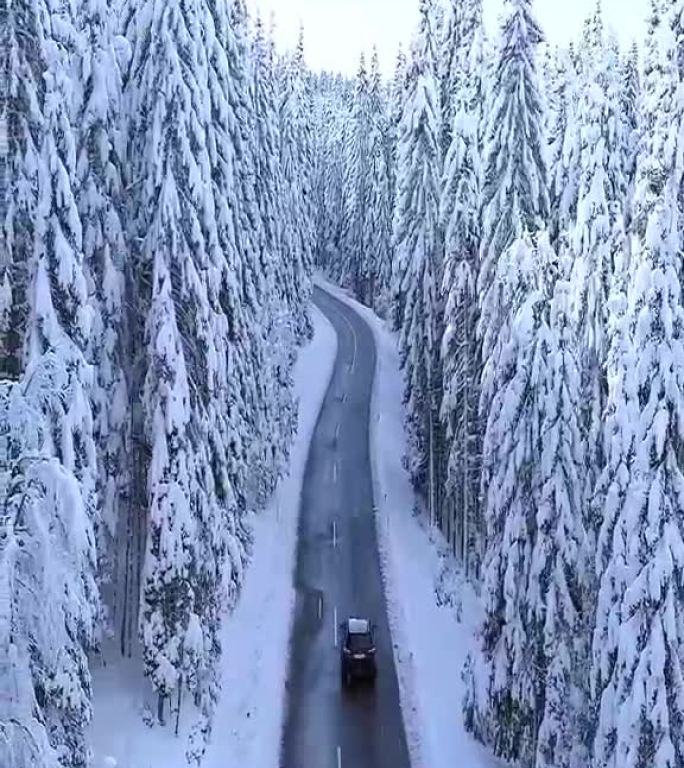 航拍车行驶在公路上的雪景