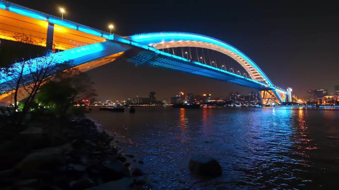 上海浦东新区卢浦大桥岸边夜景全景视频4K