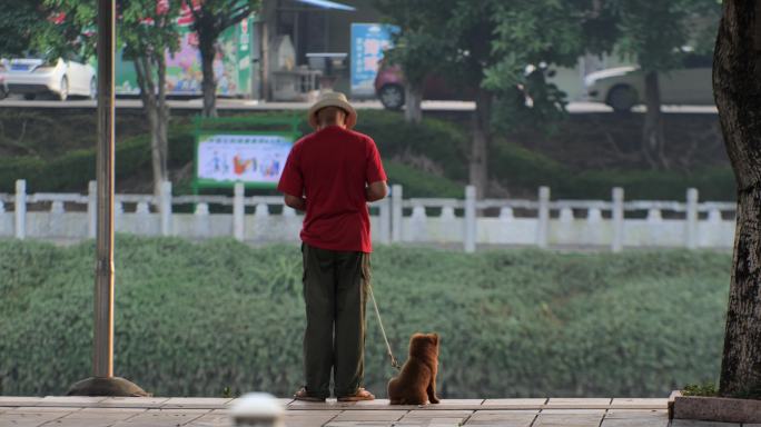 遛狗老人的背影