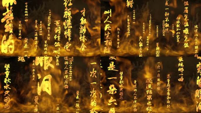 天下有情人-周华健齐豫