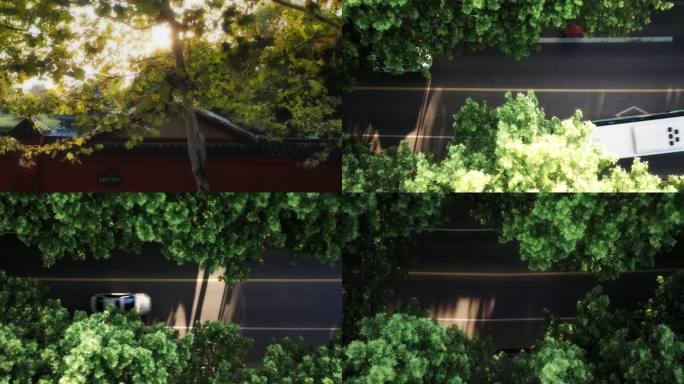 【4k原创】绿色树林马路光影俯拍视频