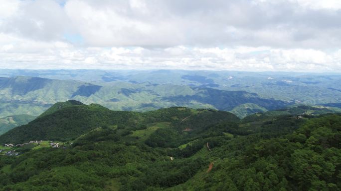 航拍清新绿植森林山水