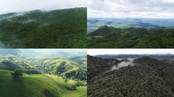 航拍清新绿植森林山水