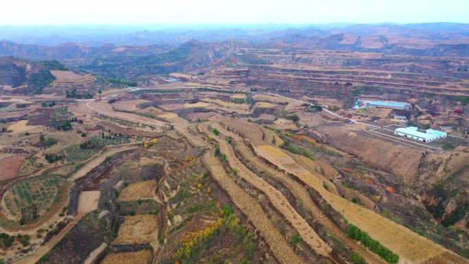 陕北米脂黄土高原农田航拍