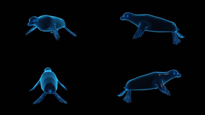蓝色科技线条海豹透明通道素材