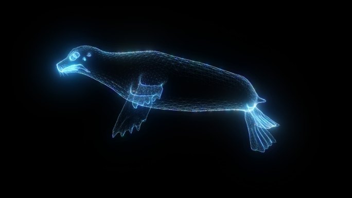 发光全息海豹透明通道素材