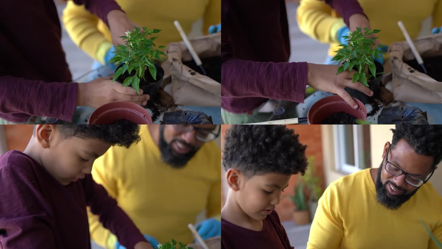父子俩在家里一起种植植物