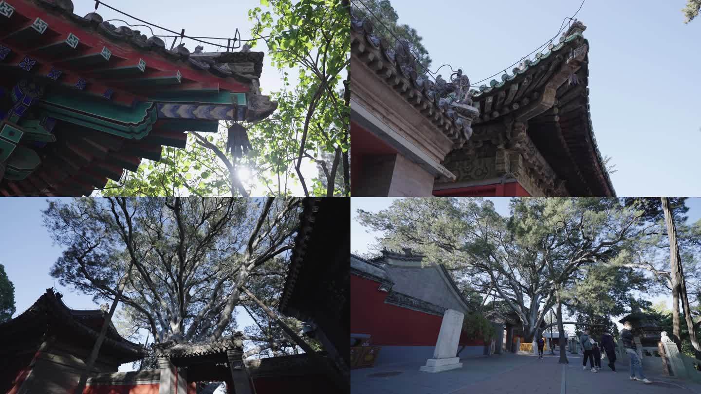 唯美中国建筑 古寺庙 古典文化大气空镜
