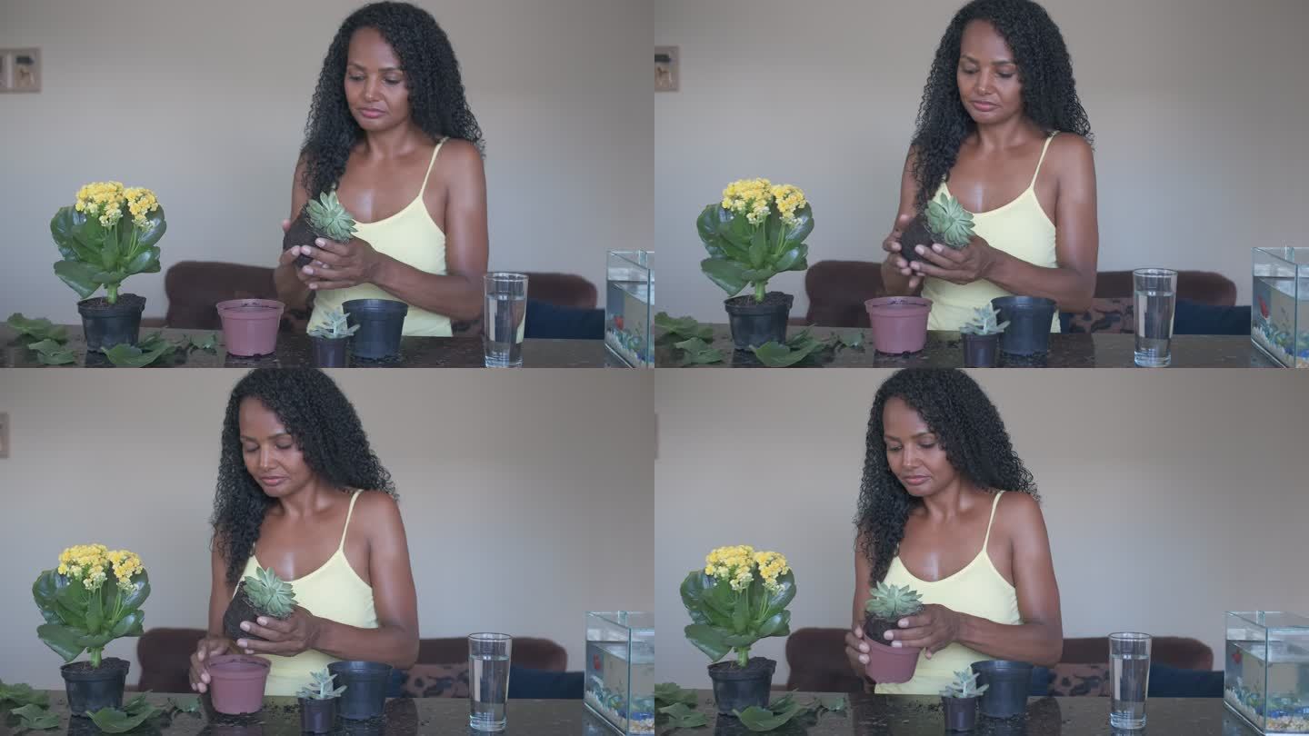 年轻的黑人妇女在交换多汁的小花盆