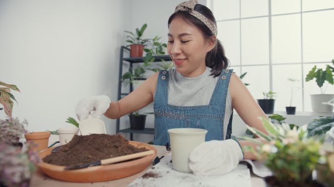 一位年轻的亚洲妇女早上在家里把植物移植到新的花盆里。