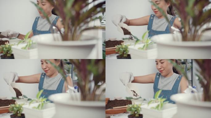 一位年轻的亚洲妇女早上在家里把植物移植到新的花盆里。