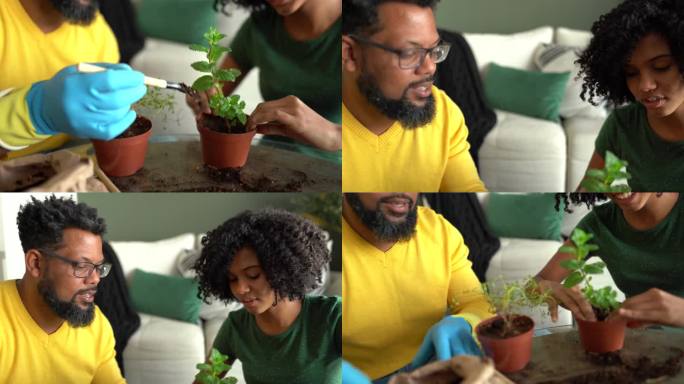 爸爸和女儿在家一起照顾植物