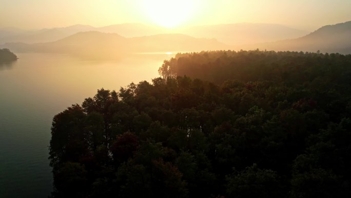 余姚四明湖水杉林日出美景