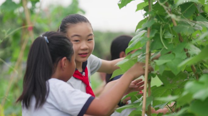 学农基地里的学生