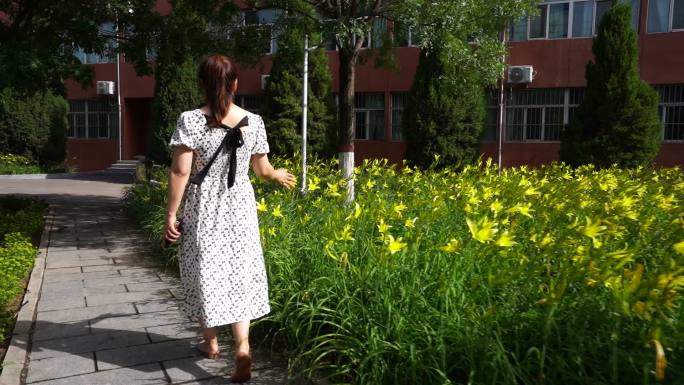 女孩行走于花海间