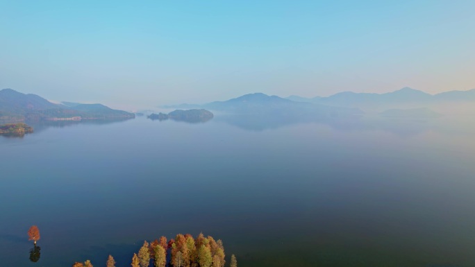 余姚四明湖水杉林日出美景