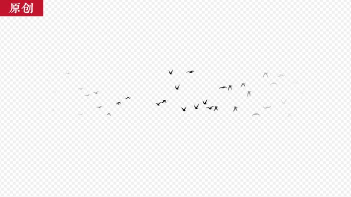 原创中国风水墨飞鸟群迁徙循环含通道mov
