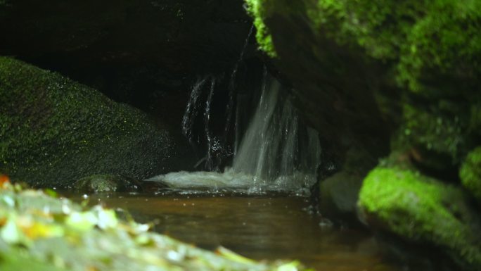 瀑布流过地衣。高山流水瀑布小溪潮湿岩石苔