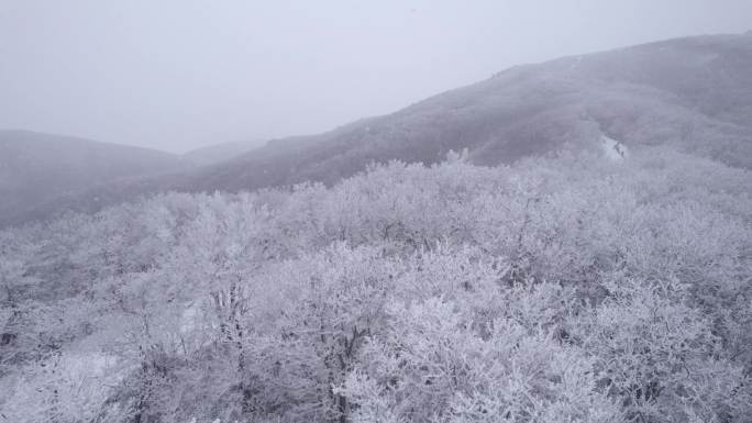 龙王山雪景