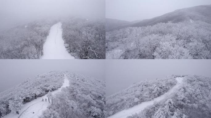 龙王山雪景