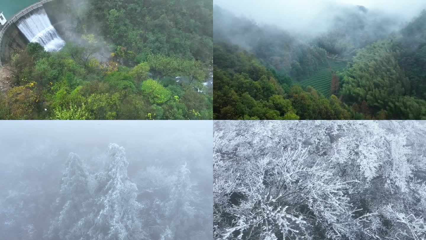 茶山 森林 溪水 冰雪 瀑布