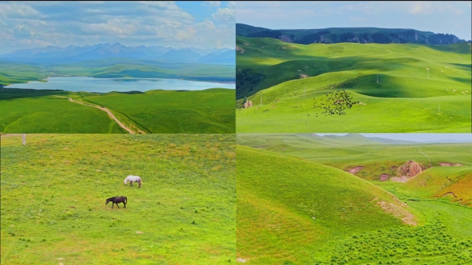 祁连山 张掖山丹马场 河西走廊