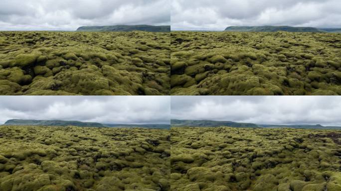 苔藓覆盖的熔岩场视图