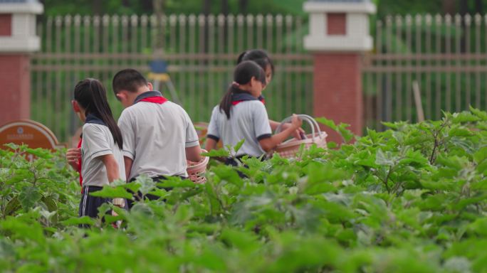 学生采摘果实