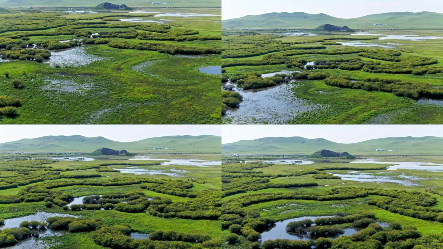 草原河流湿地