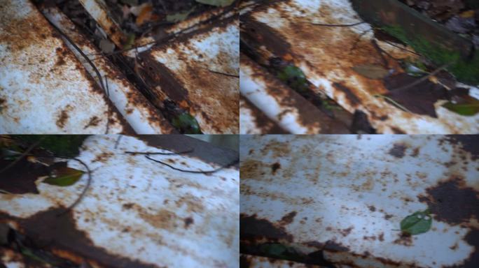 台州温岭虎山公园扫街C0048