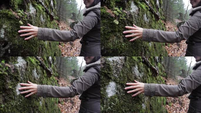 一只女性手触摸岩石上的地衣的慢镜头视频