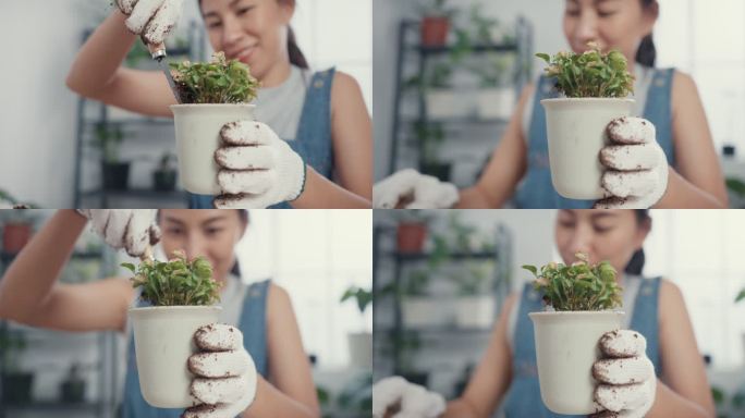 清晨，一位年轻的亚洲妇女在家里把植物移植到新的花盆里。