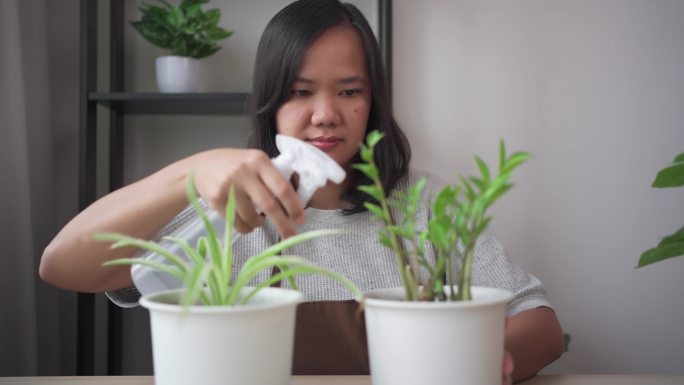 微笑的亚洲女人在家里用喷水器浇灌绿色植物