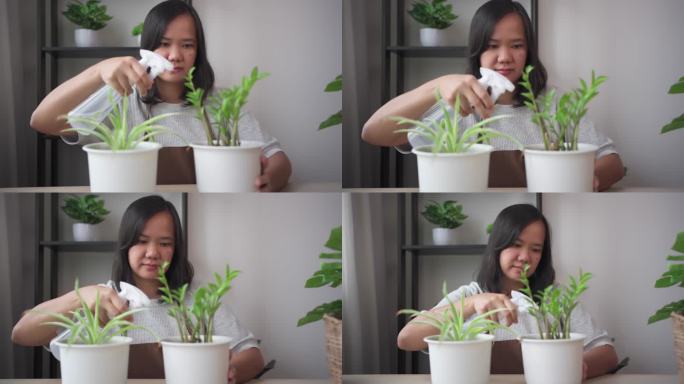 微笑的亚洲女人在家里用喷水器浇灌绿色植物