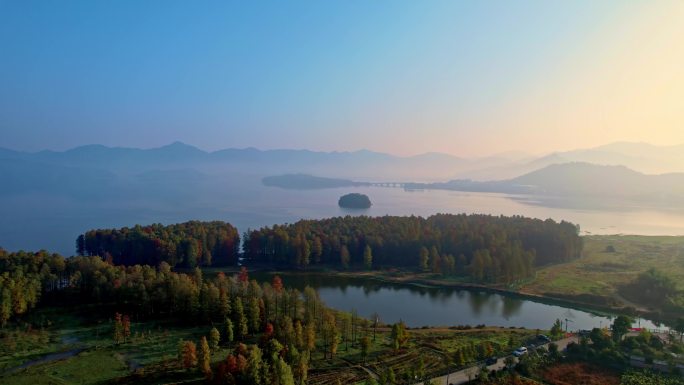 余姚四明湖水杉林日出美景