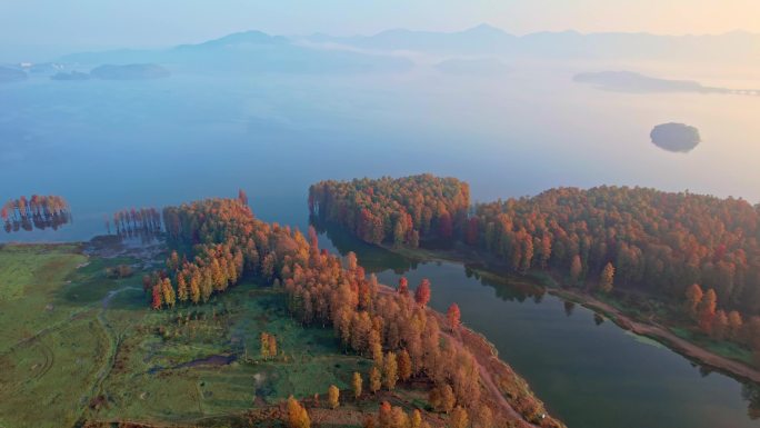 余姚四明湖水杉林日出美景