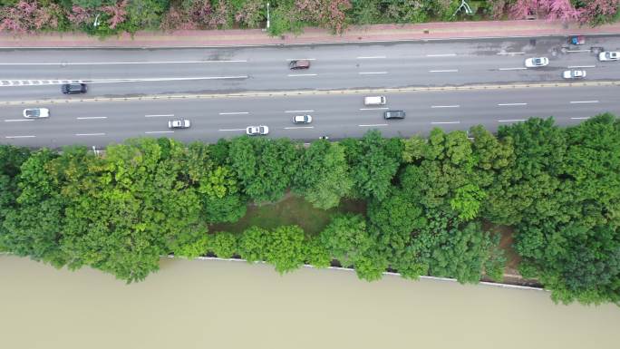 俯拍河边公路车流车辆交通汽车