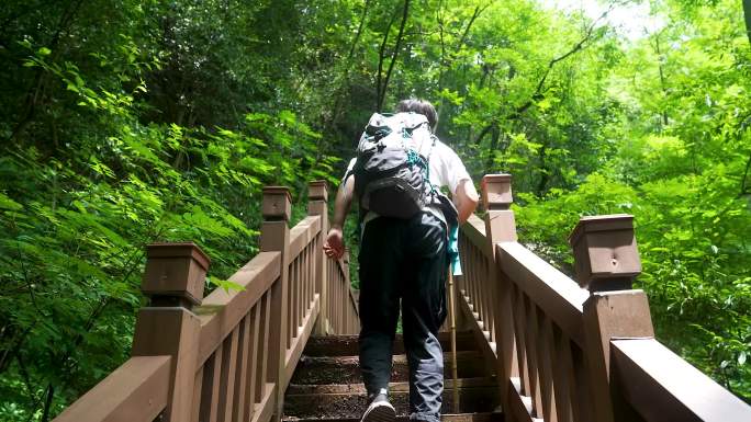 年轻人旅游大山户外徒步登山登高4