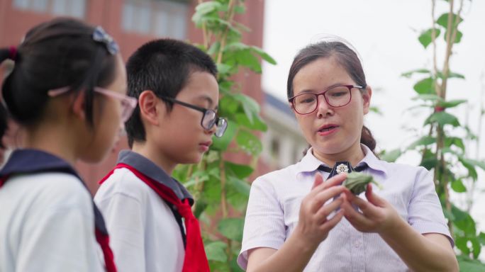 老师教学